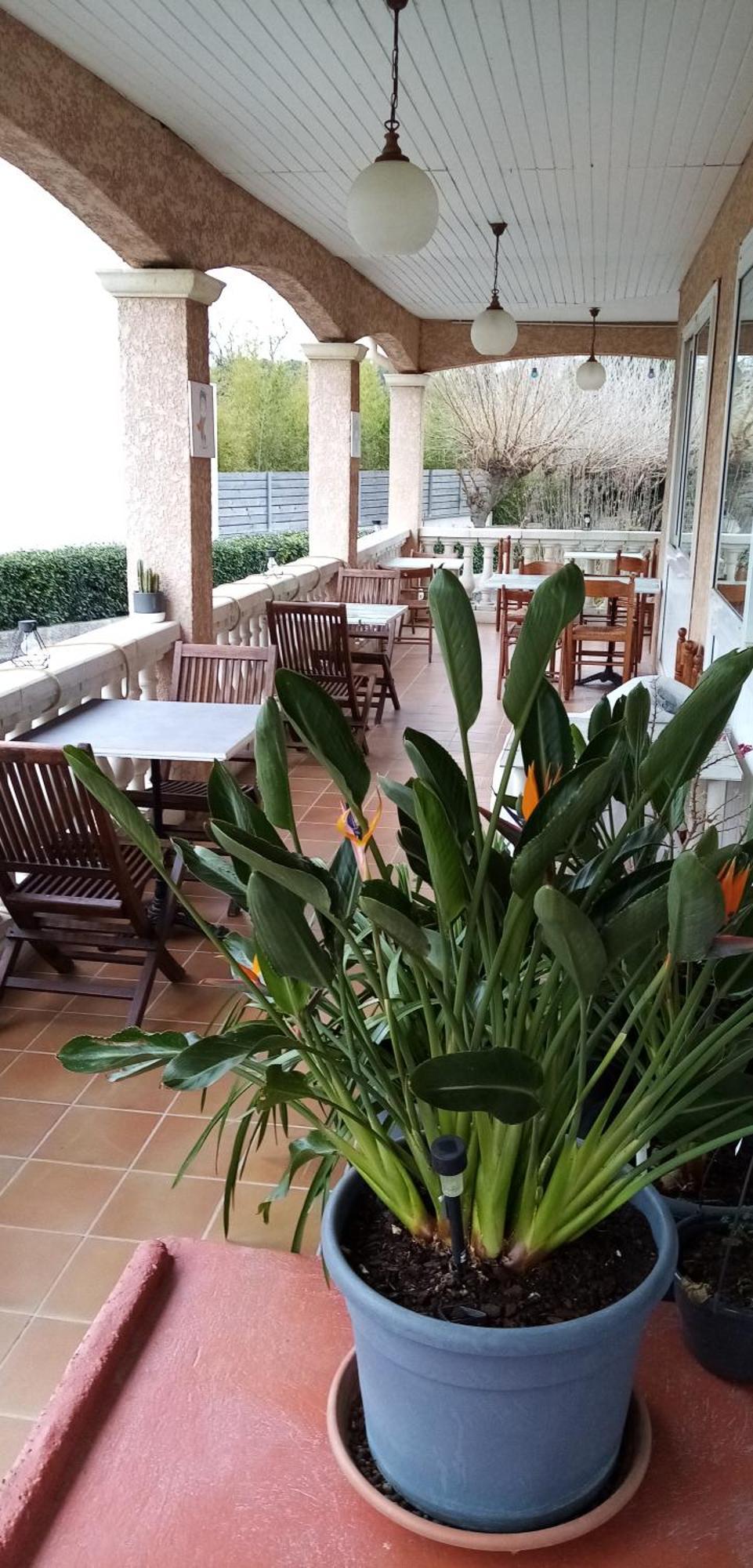 Le Grand Jardin Hotel Aujargues Exterior foto